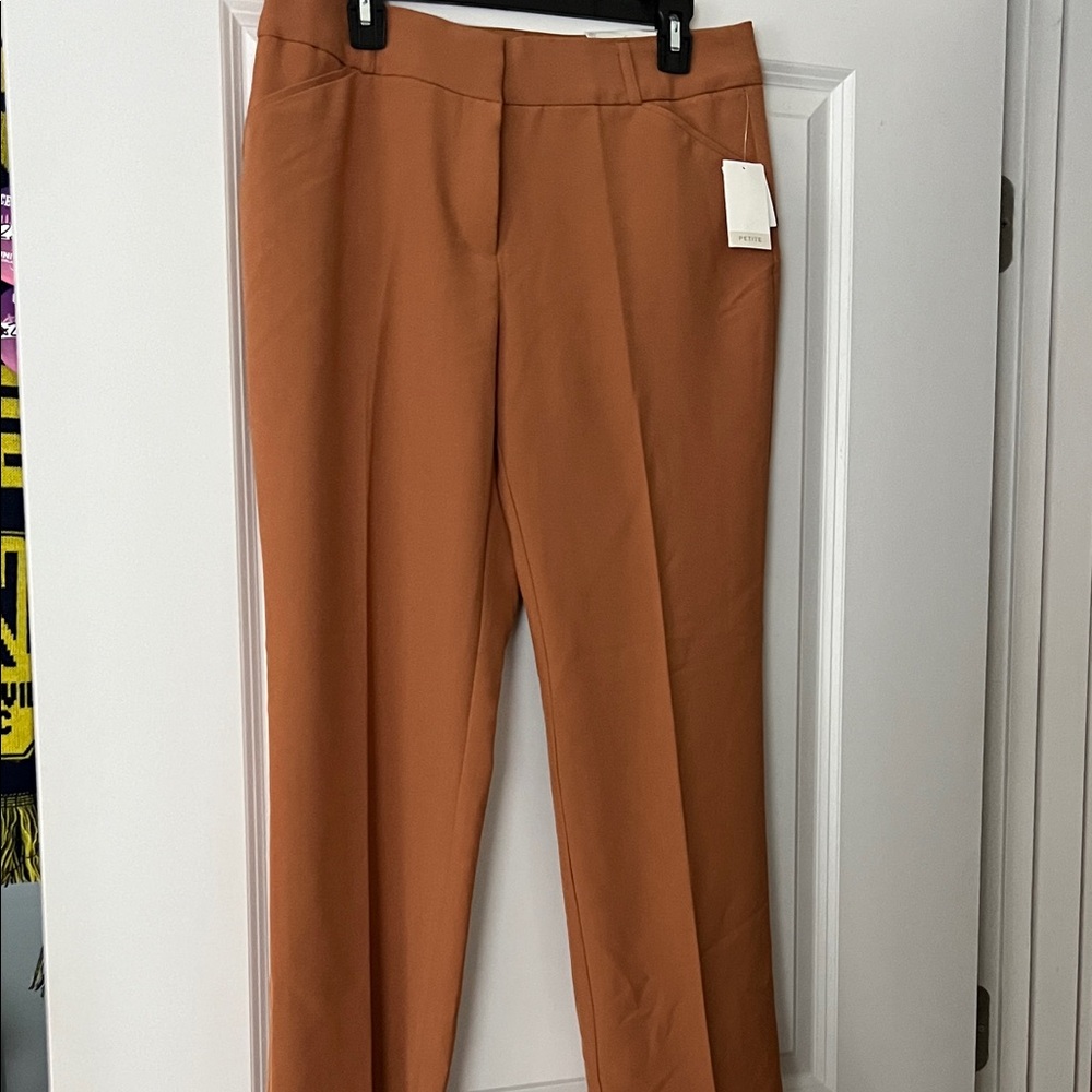Cato Women's Rust Pants